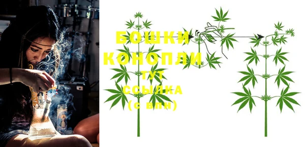 винт Новозыбков