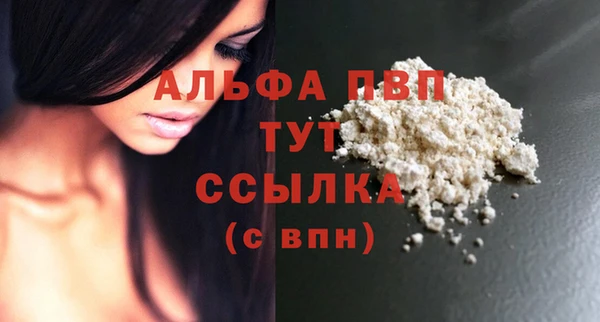 винт Новозыбков