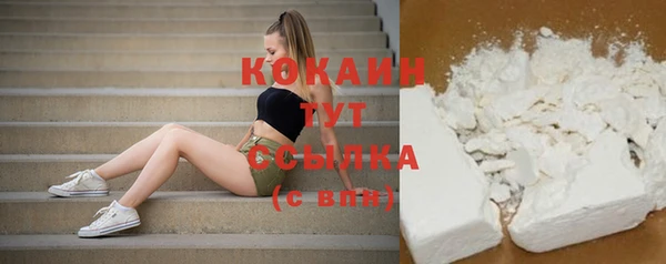 spice Новодвинск