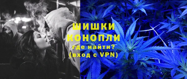 винт Новозыбков