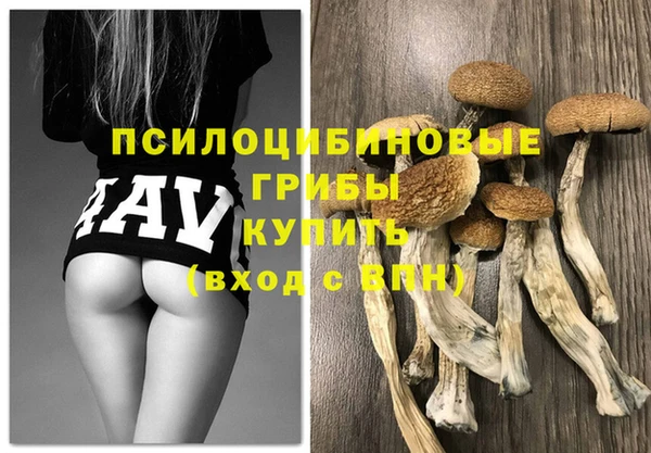 МДПВ Нягань