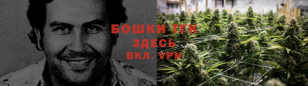 spice Новодвинск